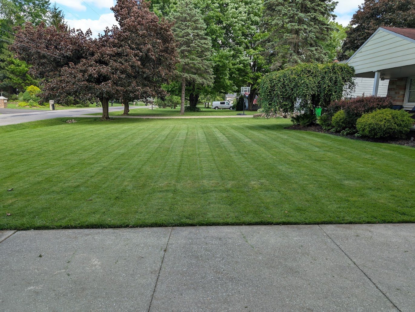 Lawn & Exterior Care